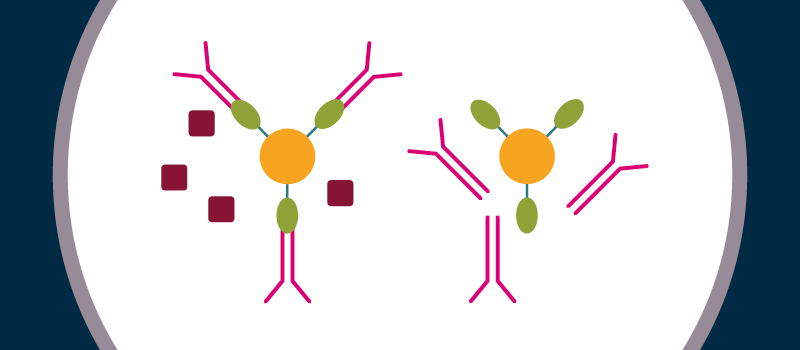2025-09-25-BioPhorum-Protein A chromatography-September 2025-800 x 350