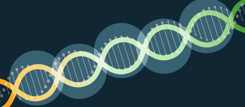 2025-11-14-BioPhorum-newsletter images-NOVEMBER 2025-800 x 350-Sust BEEM-KK V1