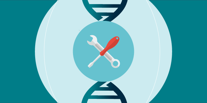 2026-01-26_BioPhorum_newsletter February 2026_Gene Potency_700 x 350